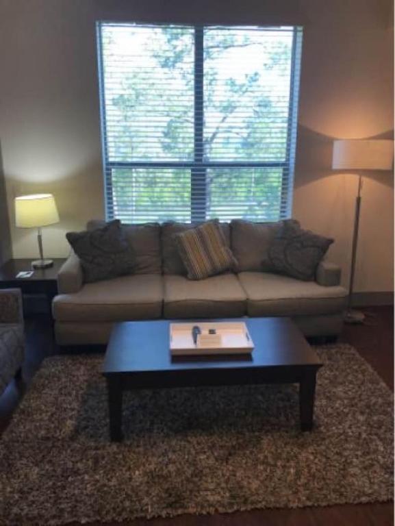 Luxury 1BR Fully Furnished w Wifi North Houston