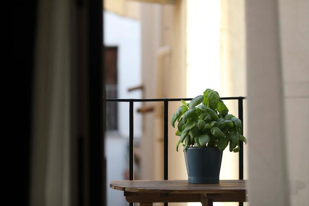 Turna Apartment - 3