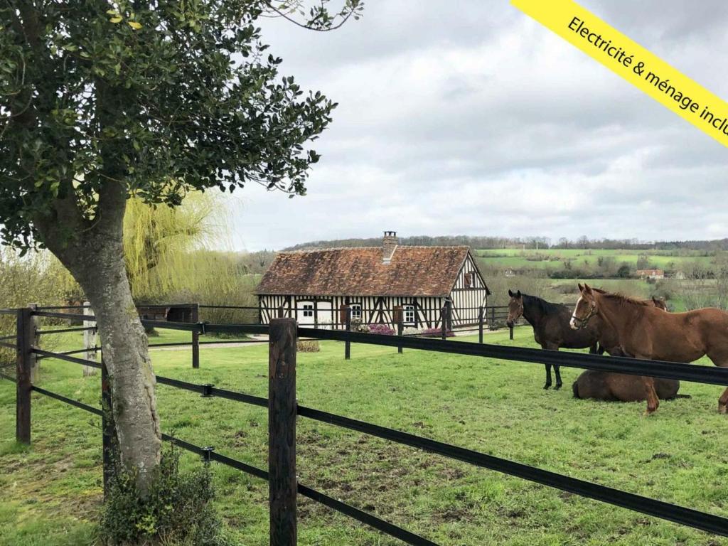 Gîte Neauphe-sur-Dive, 3 pièces, 5 personnes - FR-1-497-82