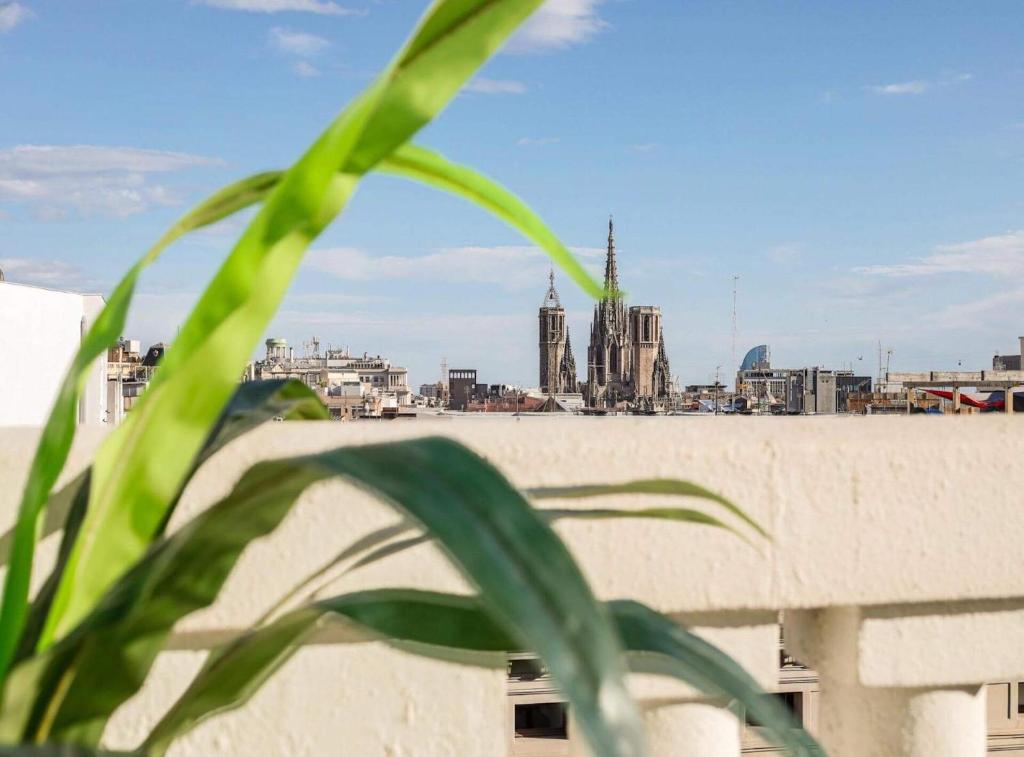 Great Penthouse duplex two terraces in City Center- photo