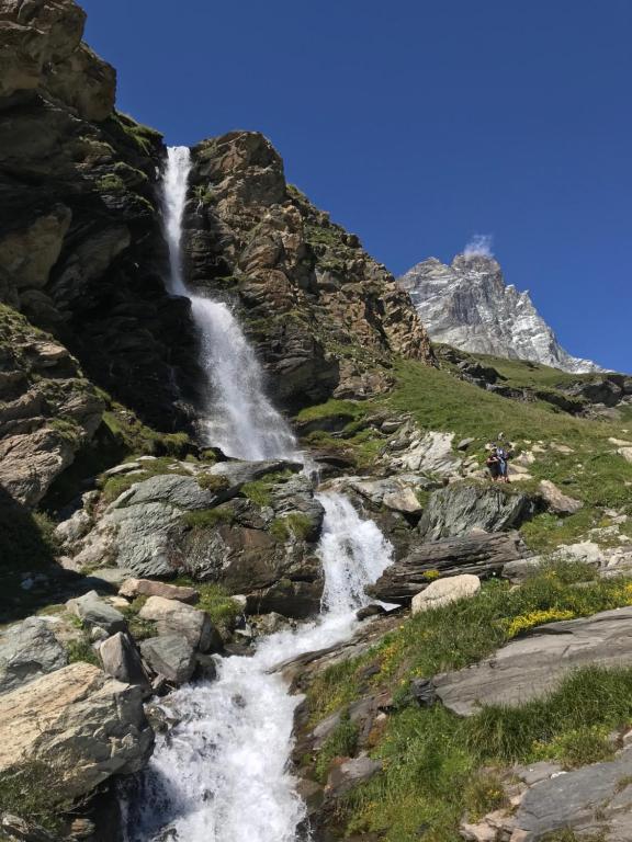 Chat des neiges - Cervinia - 4