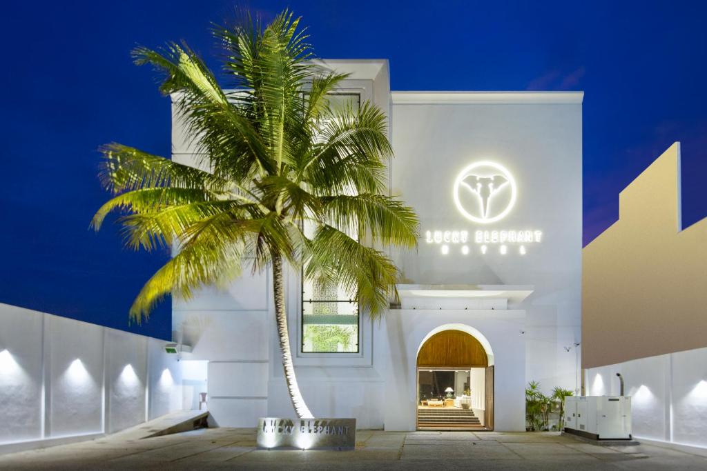 Шри букинг. Отель Элефант Шри Ланка. Lucky Elephant Hotel Шри Ланка. Отель Lucky Seven Hikkaduwa пляж. The Lucky Elephant 4 Хиккадува.