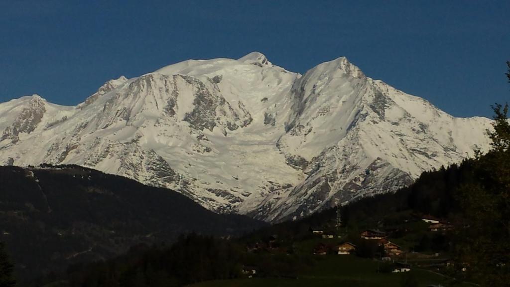 Appart en rez de jardin clos face au Mont BLANC - 4
