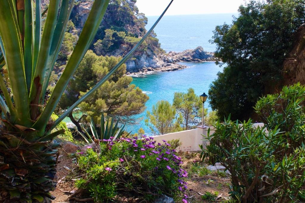 Apartamentos Cala Llevado — Hotel in Tossa de Mar