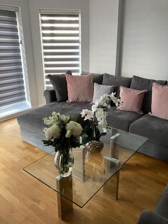 Shorthorn Apartment photo