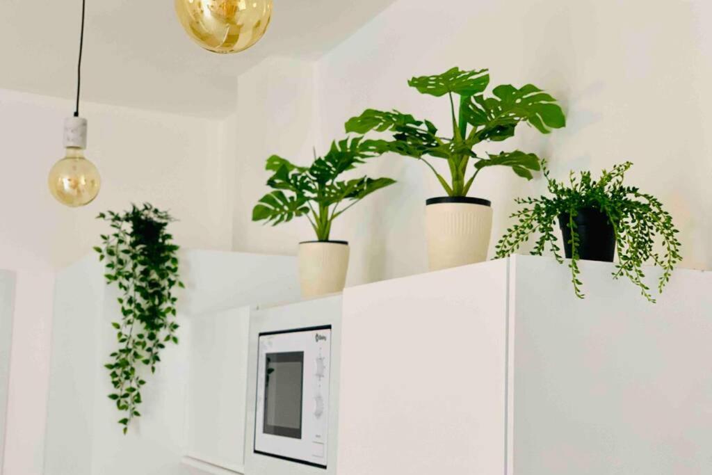 Roof Top Luxury City Center Apartment BY NAMASTE ELITE - 2