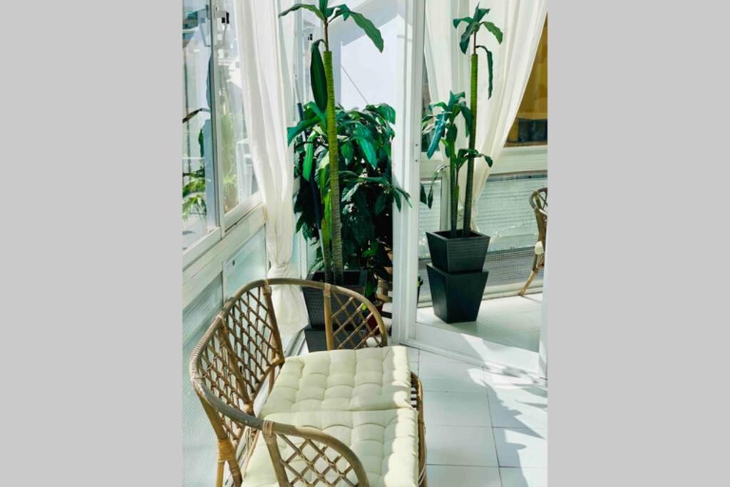 Begonia City Center Apartment 230 BY NAMASTE ELITE - 5