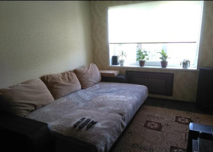 Задонск посуточно. Снять дом в задонске посуточно. Городская баня задонск. Снять квартиру в придонском воронеж посуточно. Задонска задонского снимать, квартира.