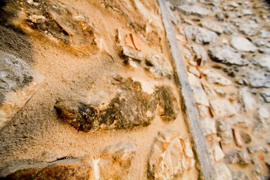Garni Gianmartin photo