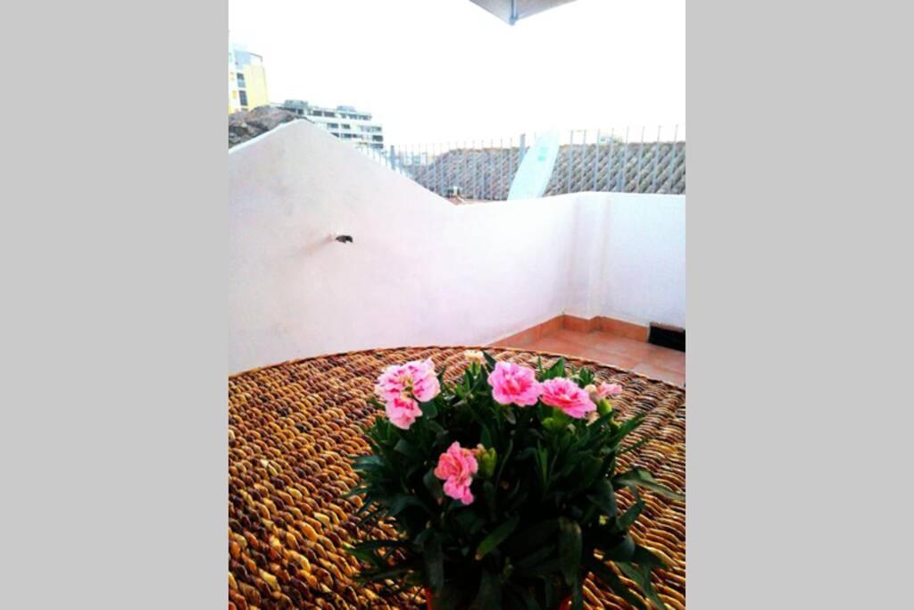 Cozy in the Center with Terrace - 3