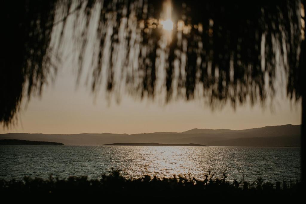 Surrounding environment