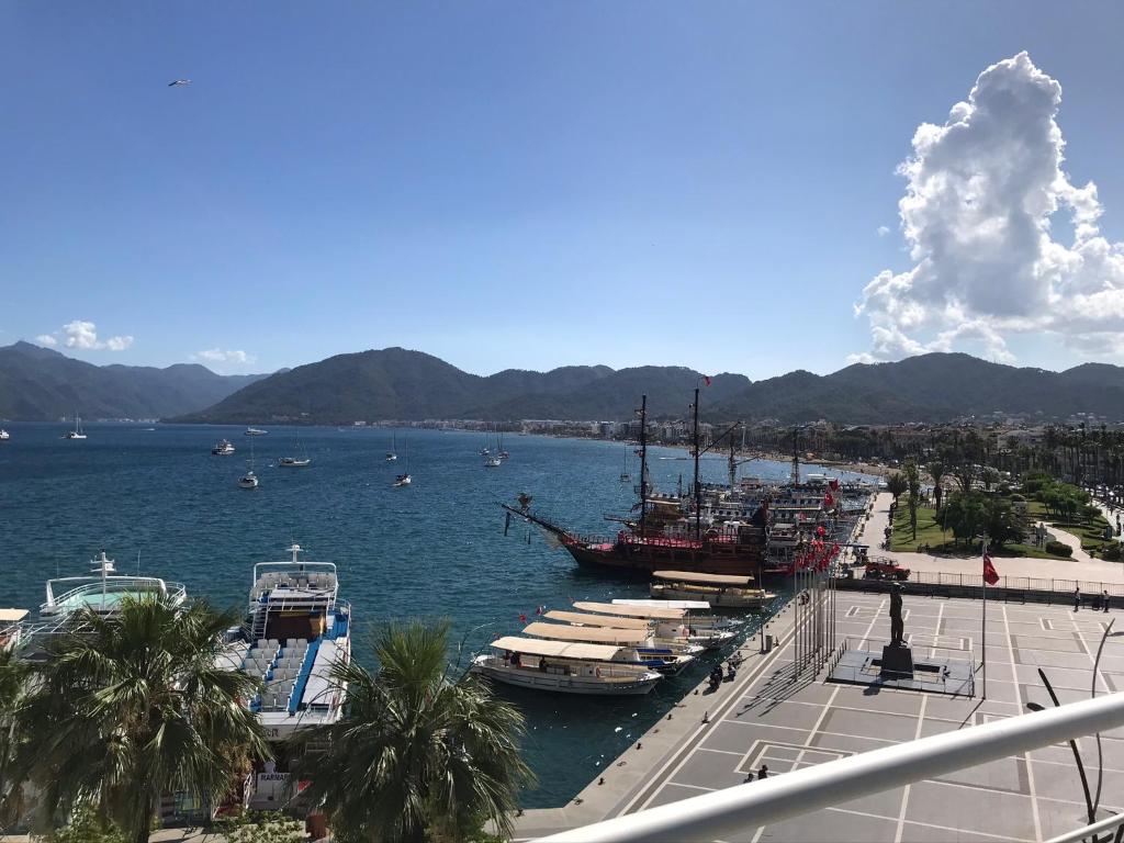 Trea Homes Marina Suites photo