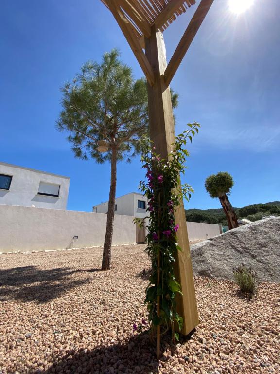 MAISON NEUVE PORTO VECCHIO - 2