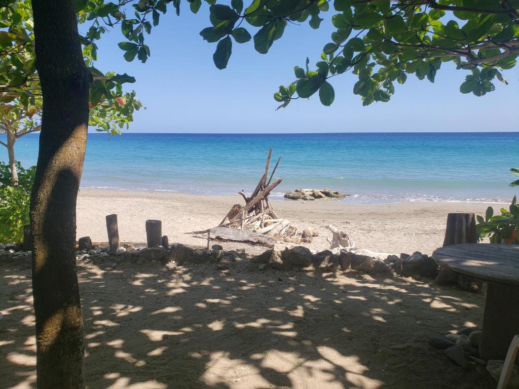 Sea Shell Palms, Ocho Rios photo
