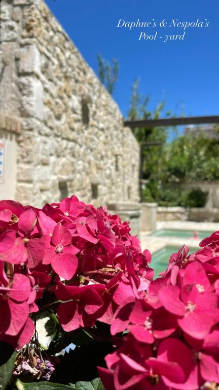 Carpofoli Corfu — Hotel in Corfu Island