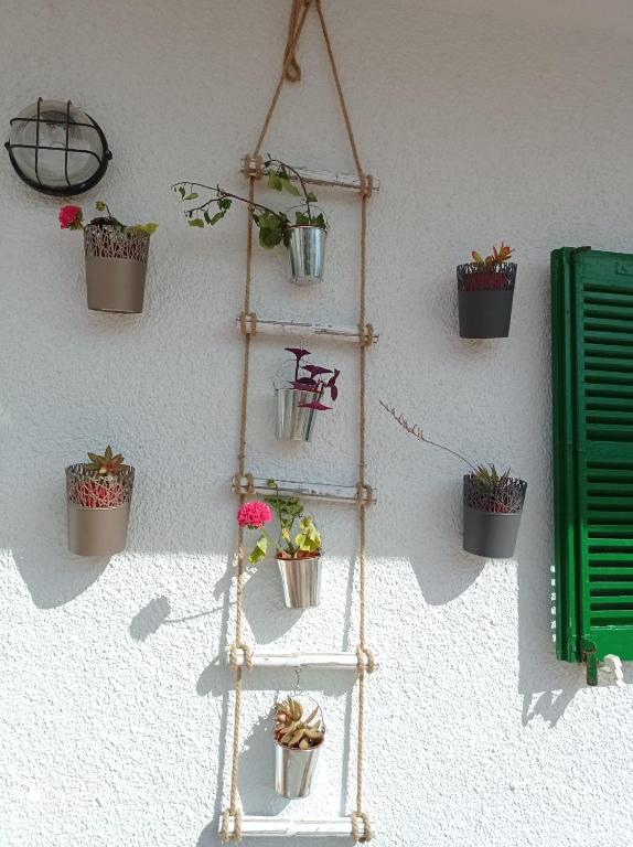 Fantastic, 100 meters from the beach - 4