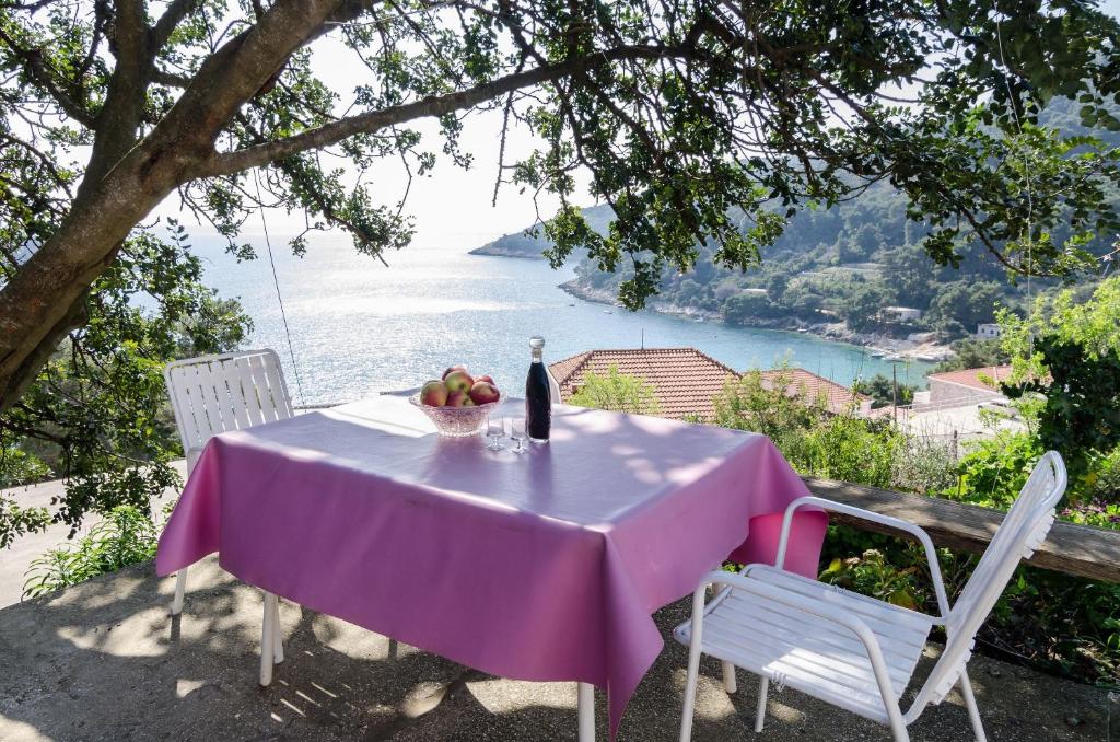 Guest House Kralj — Hotel in Saplunara