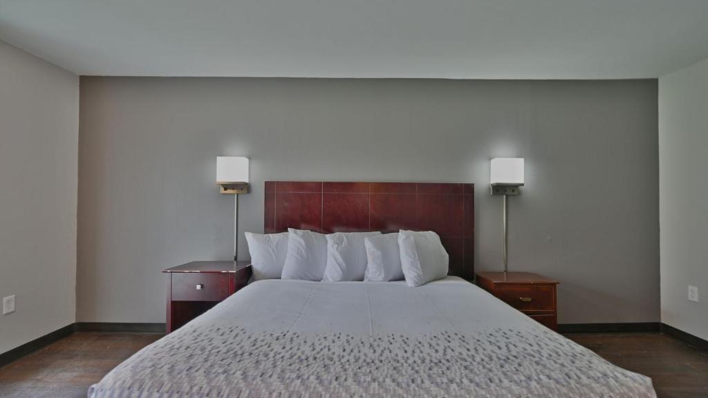 Maplehurst Motel photo