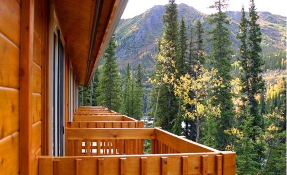 Denali Grizzly Bear Resort photo