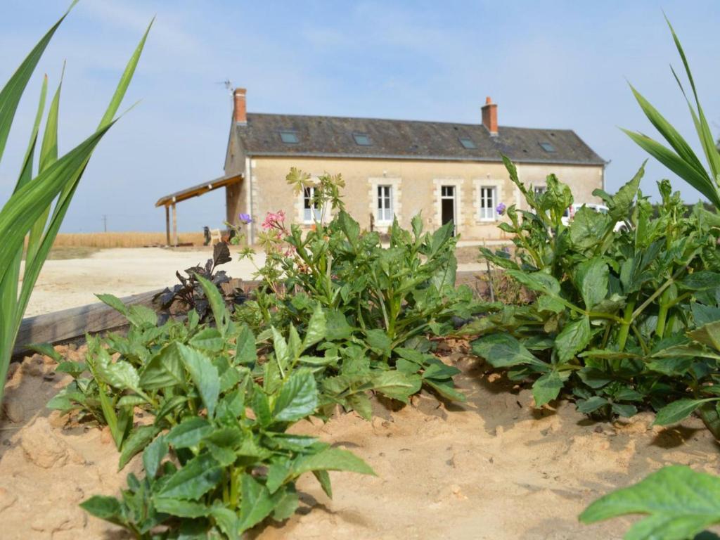 Gîte Channay-sur-Lathan, 6 pièces, 14 personnes - FR-1-381-265