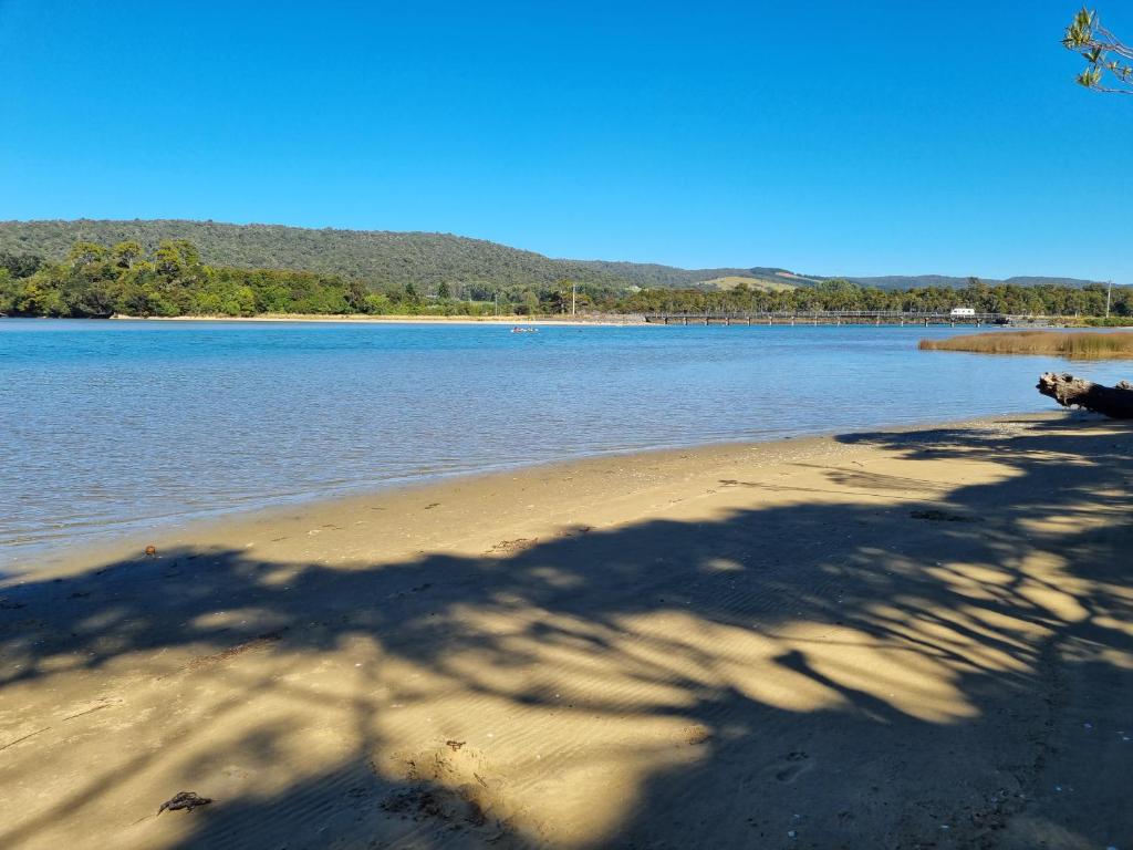Catlins Lake Sanctuary photo