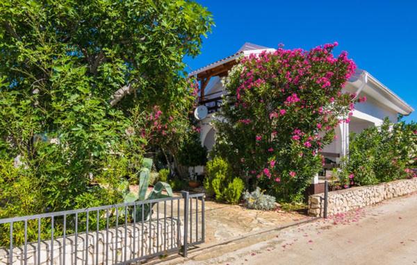 Apartment Marija - Otok Vir, Vir