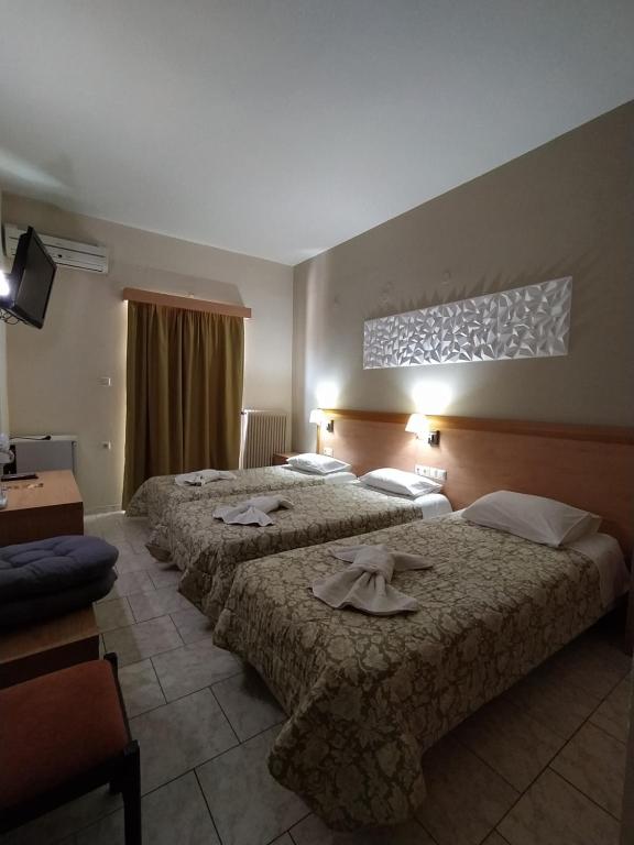 Plaz Hotel photo