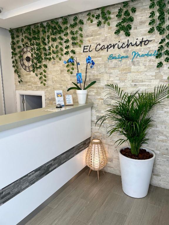 Hostal El Caprichito Marbella