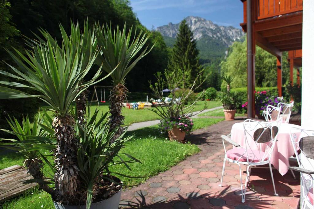 Aparthotel Alpenpark photo