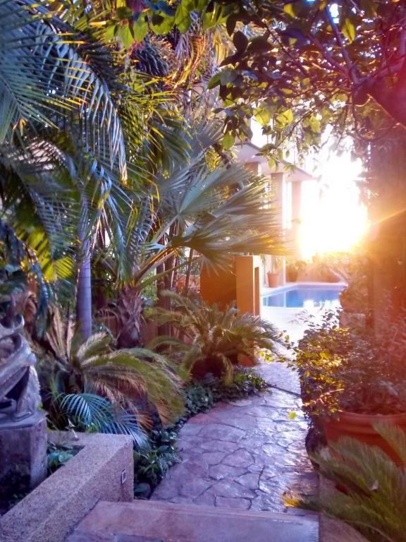 Hotel San Luis Lindavista photo