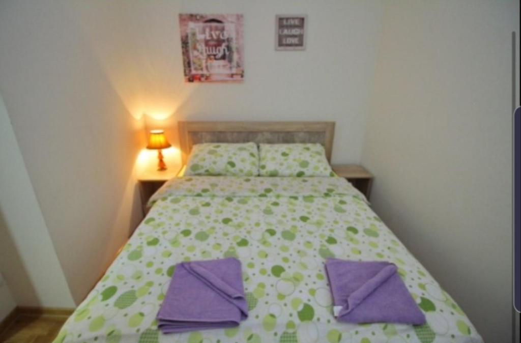Aleksandar apartman Zlatibor - 4