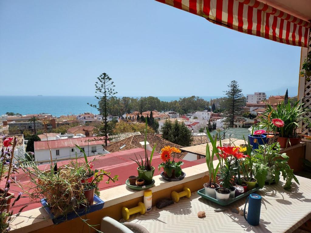 Pedregalejo Room - 2