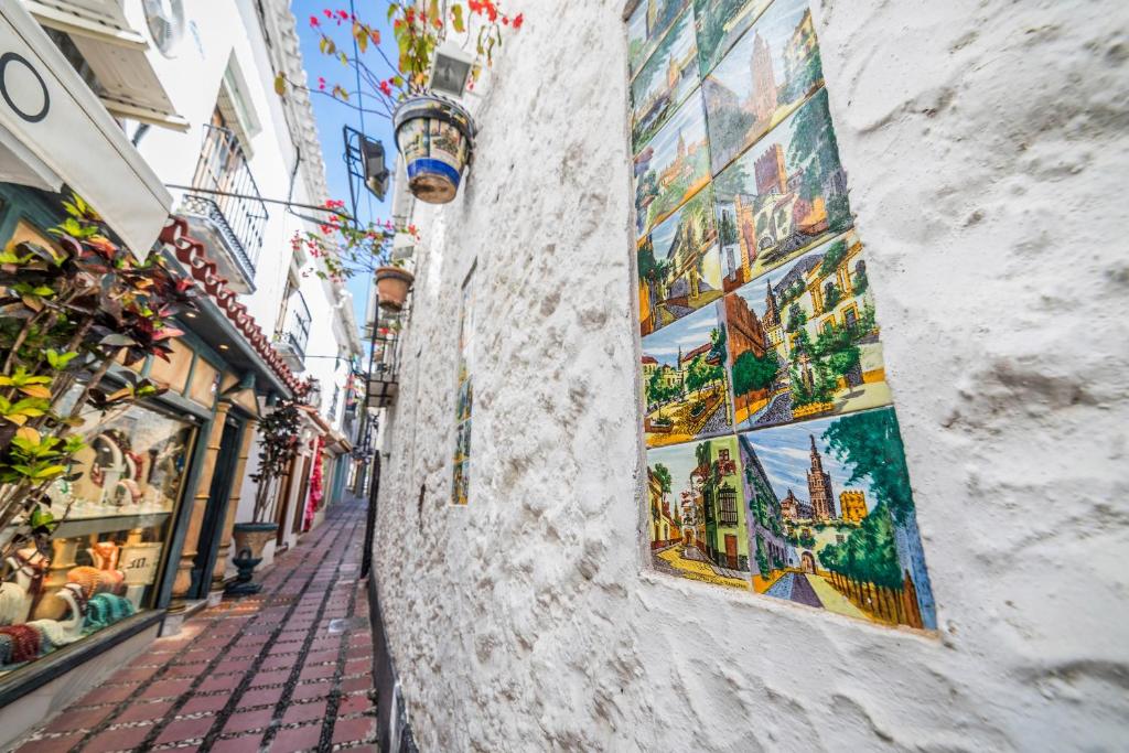 المنطقة المحيطة