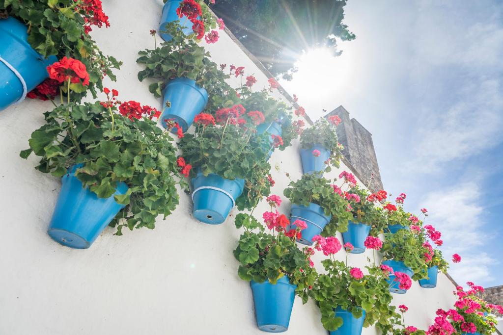 المنطقة المحيطة