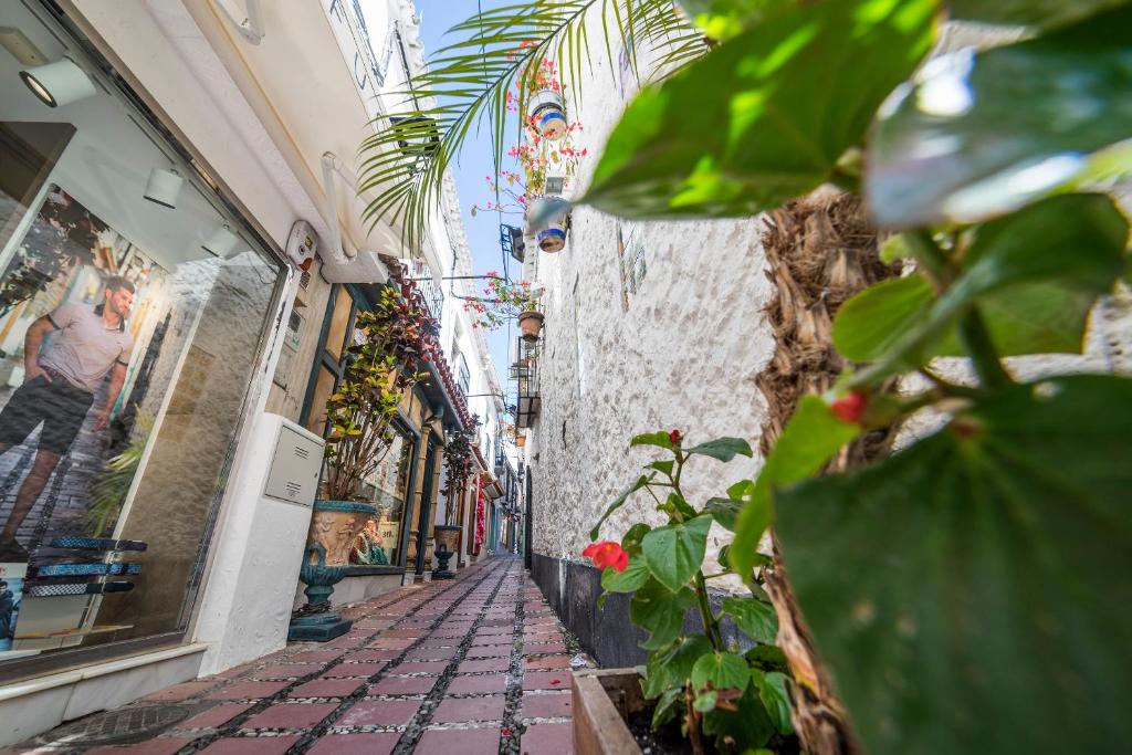 المنطقة المحيطة