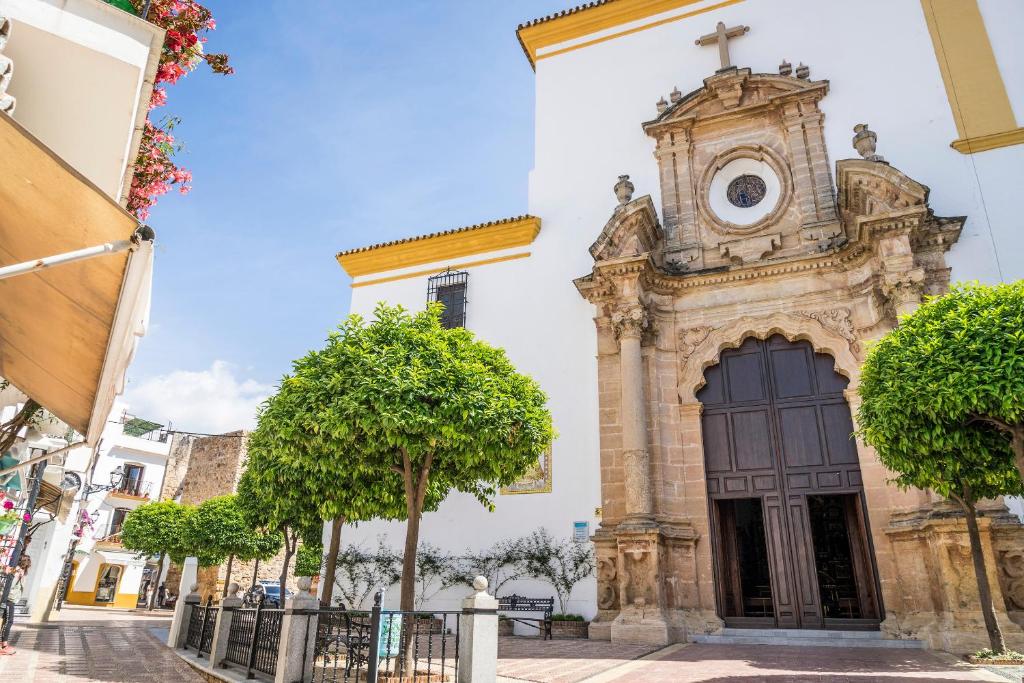 المنطقة المحيطة