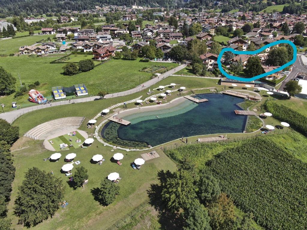 Chalet Mountain Plaza - Apt Homewood - 4