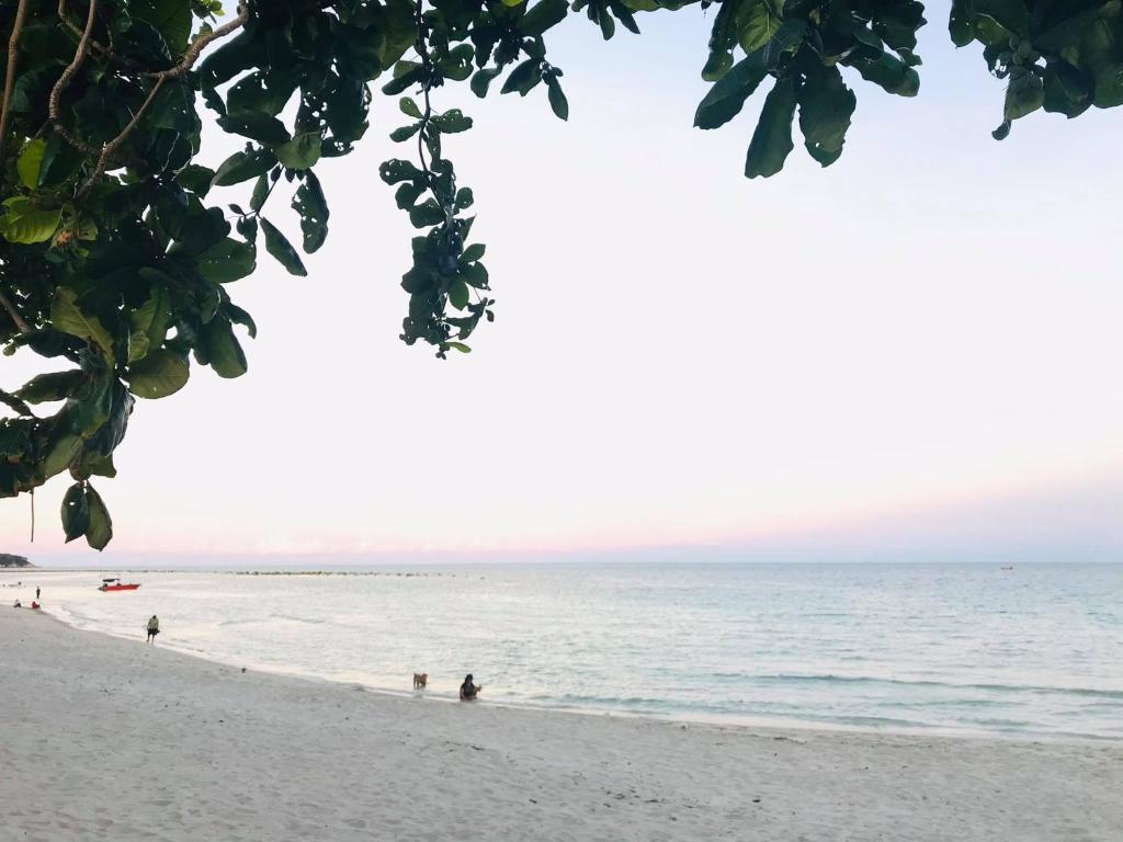 PTK BEACH photo
