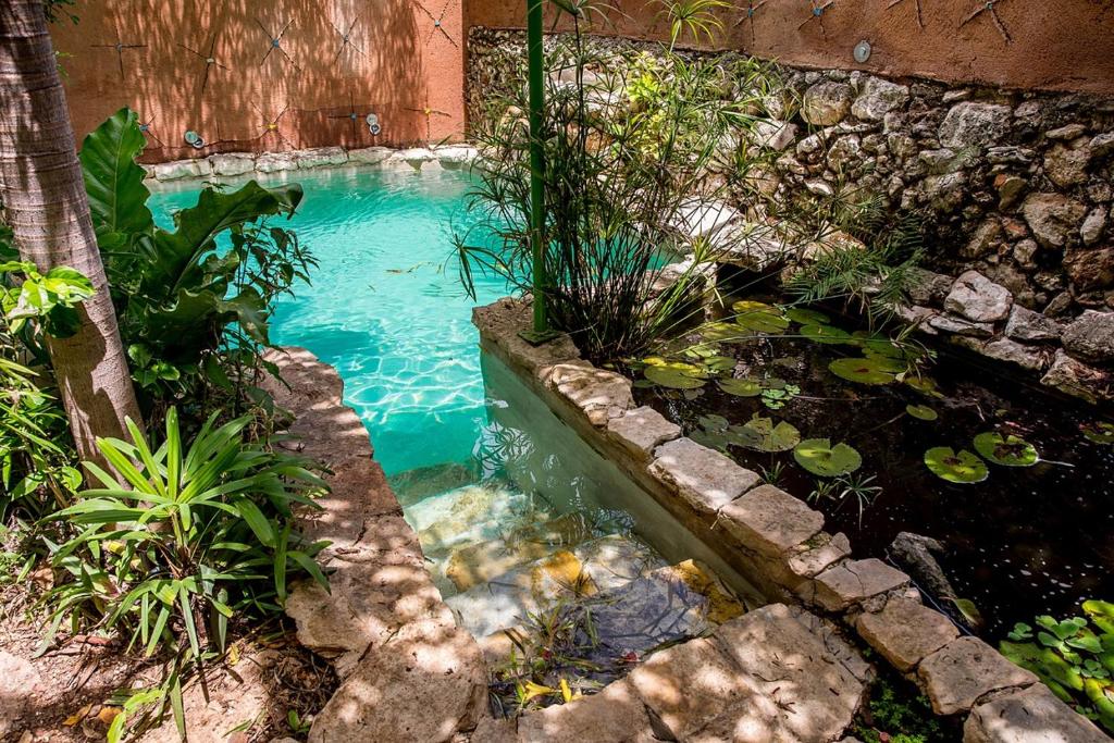 Majikal B&B - Corazon photo