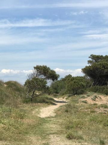 Oh! Campings - La Tamarissière Agde - 5