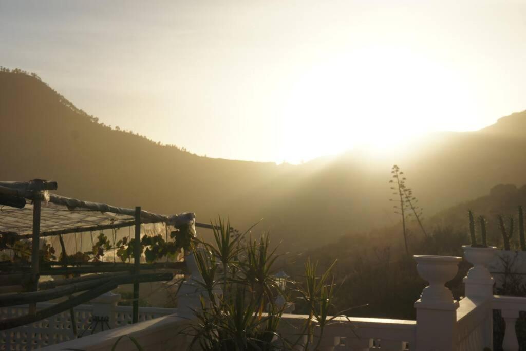 Finca Cortez Apartment 2 - 3