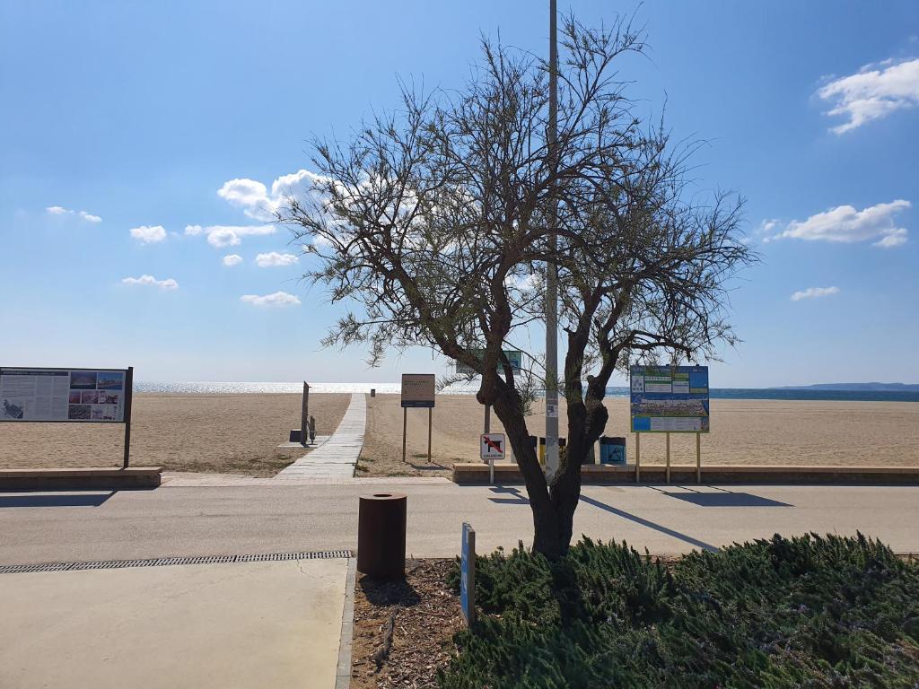 ESTUDIO VIOLET BEACH - 2