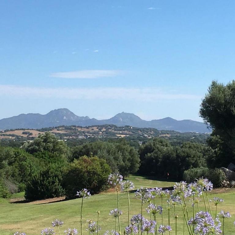 Hotel Botanic Golf SaCuba photo