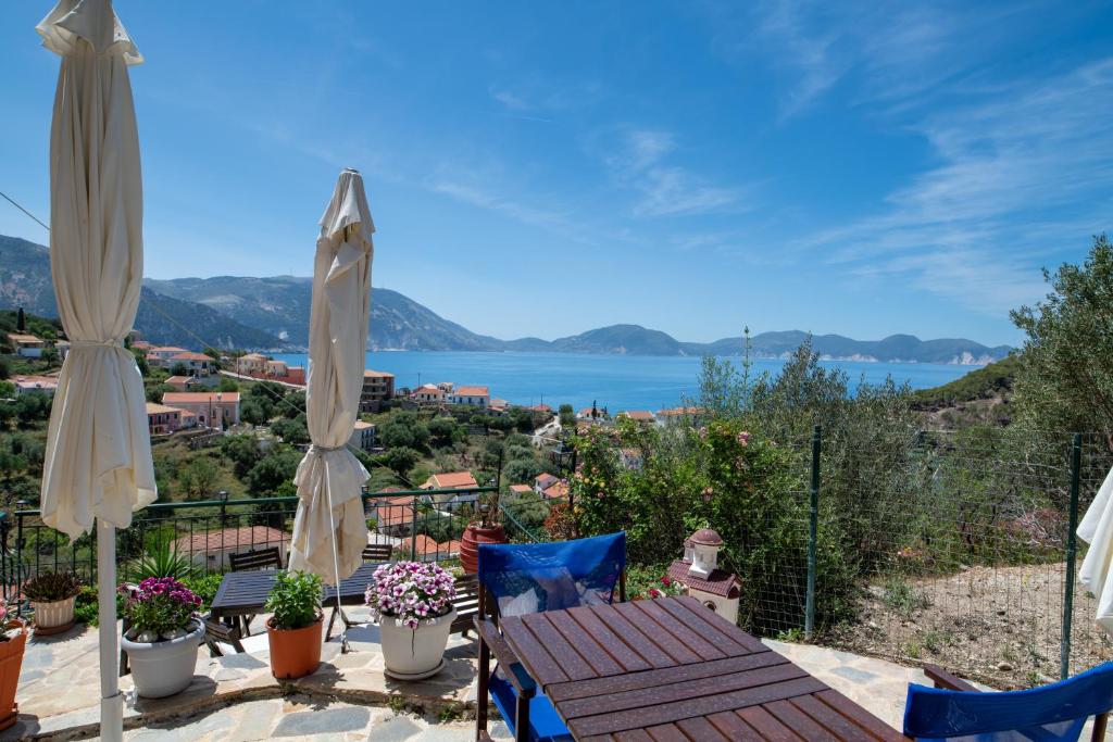 Fantastic View Apartments photo