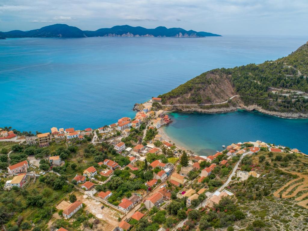 Fantastic View Apartments photo