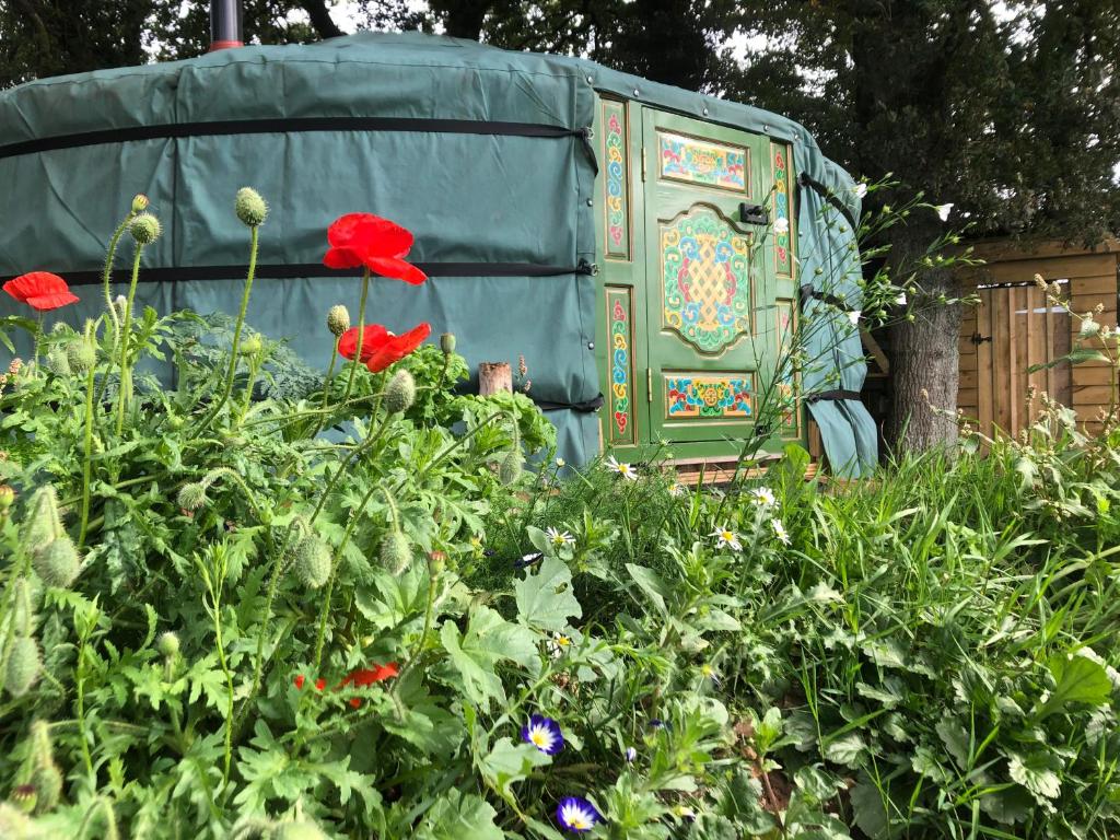 Mill Stream Yurt, Colyton