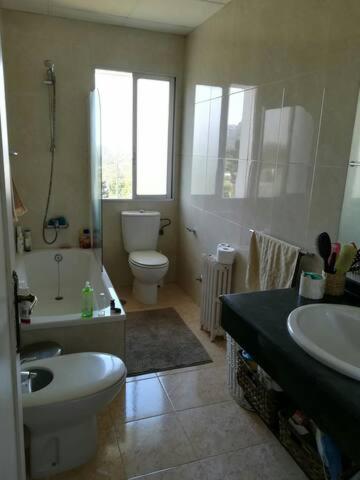 Villa Anselma, casa compartida - 5