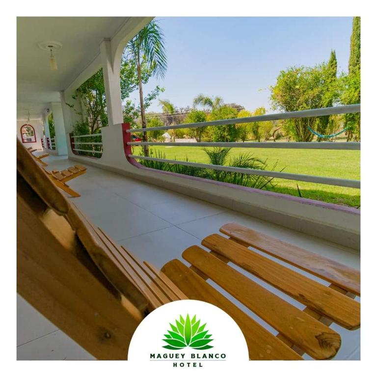Hotel Maguey blanco photo