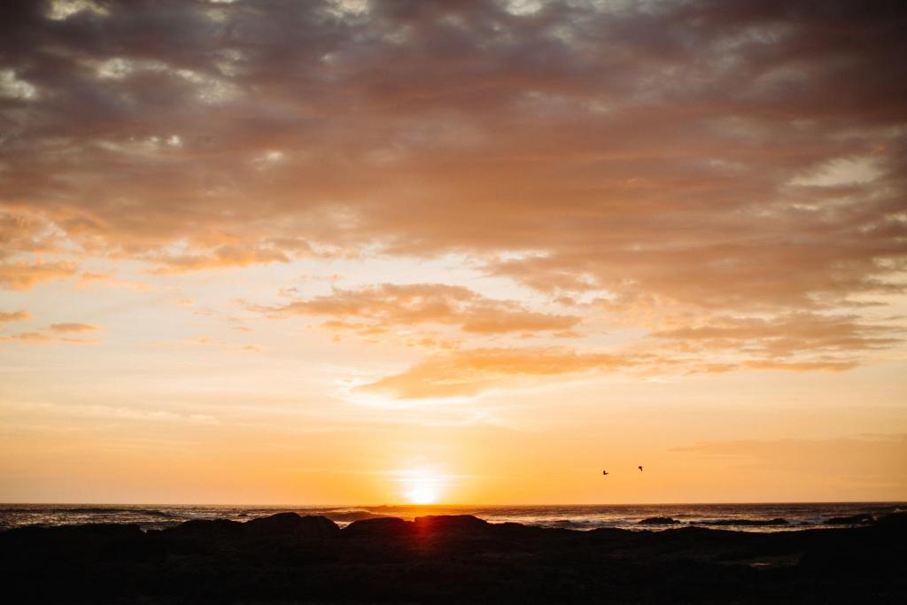 Surrounding environment