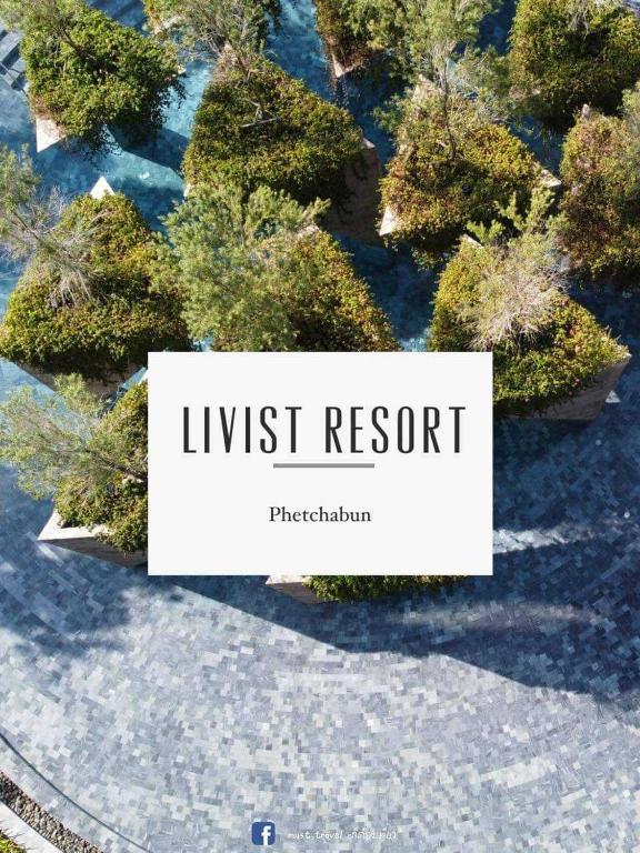 スイミングプール